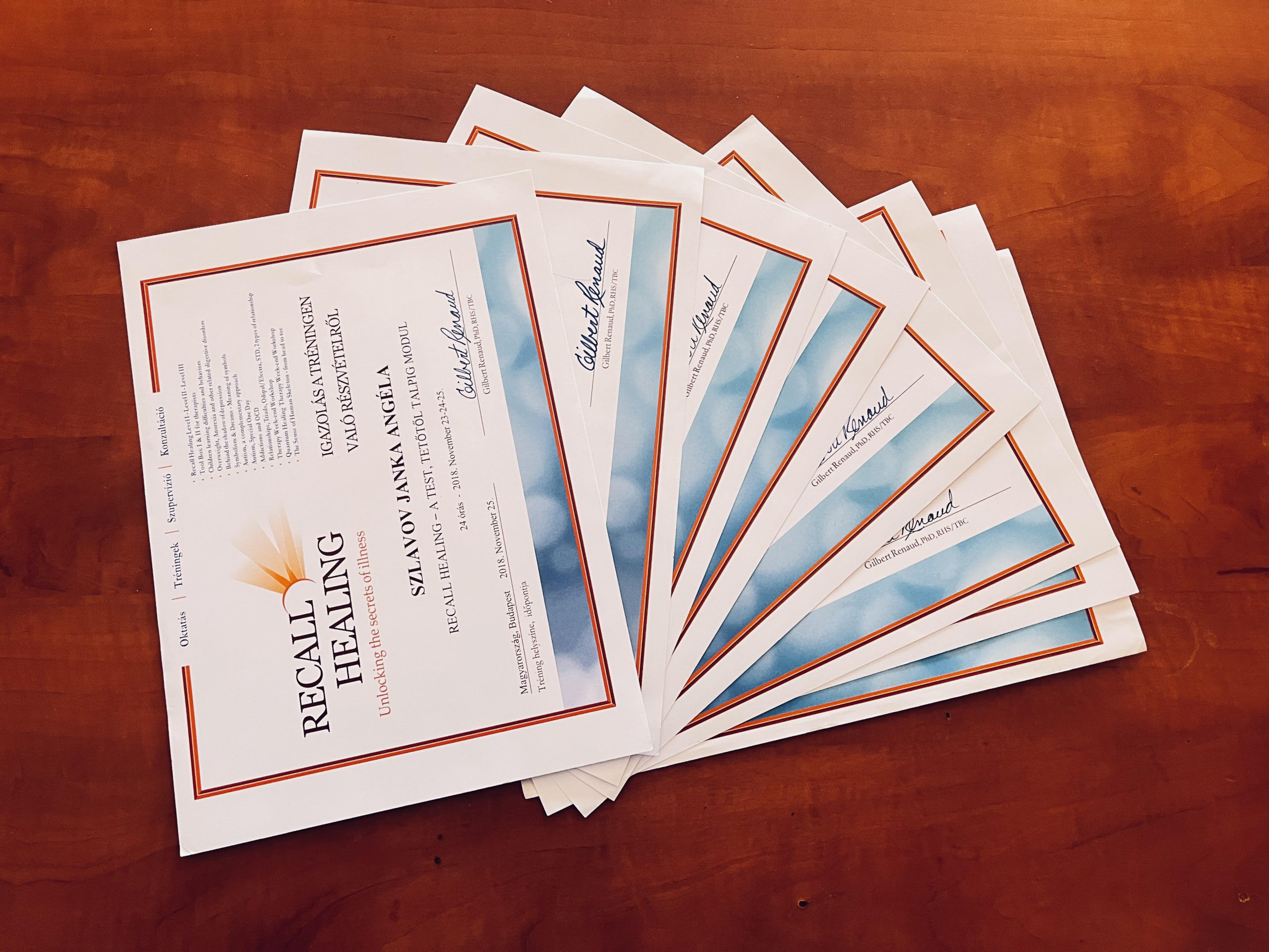 Discover the Recall Healing method with Janka Szlavov: uncover the emotional roots of illnesses, resolve generational patterns, and achieve conscious healing.